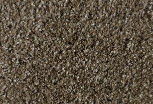 Stanton Shaggy Plush II Metallic Beige